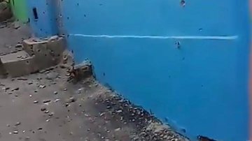 Reprodução/ Twitter