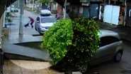 Reprodução / Cidade Alerta