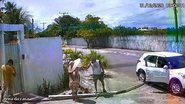Reprodução