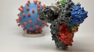 National Institutes of Health