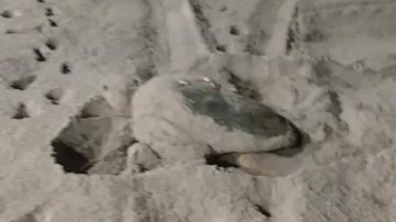 Reprodução/ Twitter