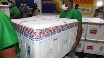 Divulgação