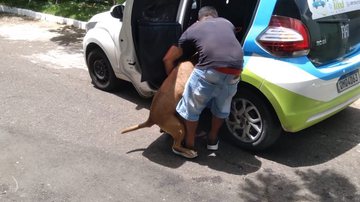 Leitor BNews