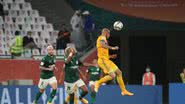 Reprodução/Twitter @TigresOficial