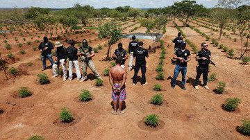 Reprodução/ Polícia Civil