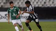 Vítor Silva/Botafogo