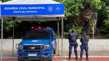 Divulgação