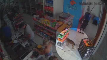 Reprodução/GloboNews