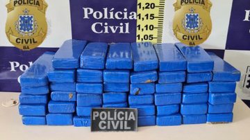 Divulgação