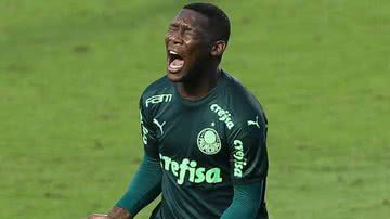Divulgação/Palmeiras