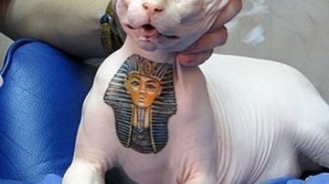 Reprodução/ Redes Sociais