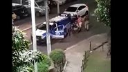 Leitor BNews