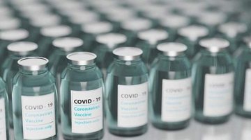 Imagem Bahia recebe nova remessa de vacinas contra Covid-19