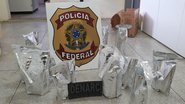 Divulgação/PF