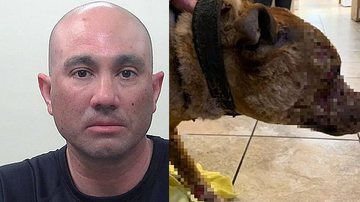 Tooele Couty Sheriff's Office/ Salt Lake County Animal Services