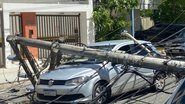 Reprodução/leitor Bnews