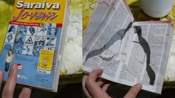 Divulgação