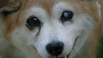 Reprodução / Instagram