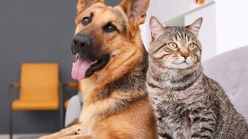 Westend61/Getty Images