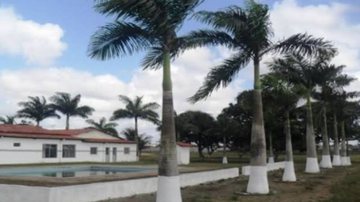 Reprodução/Fluminense de Feira