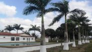 Reprodução/Fluminense de Feira