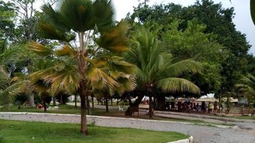 Reprodução/Google Maps