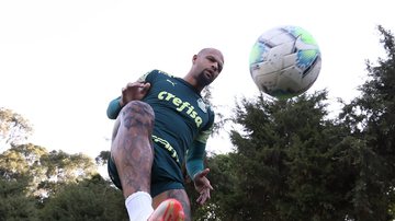 Cesar Greco/Palmeiras