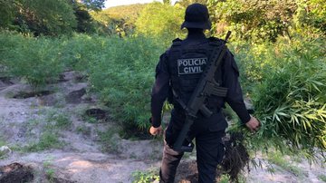 Divulgação/ Policia Civil