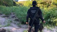 Divulgação/ Policia Civil