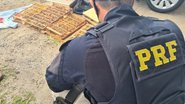 Divulgação/ PRF