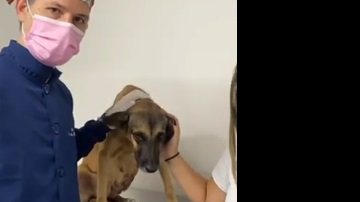Reprodução/ Redes Sociais
