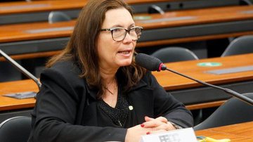Najara Araujo/Câmara dos Deputados