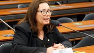 Najara Araujo/Câmara dos Deputados