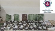 Divulgação/Polícia Militar