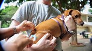 Arquivo/Agência Brasil