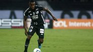 Vitor Silva/Botafogo
