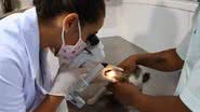 Imagem Veterinária fala sobre úlcera de córnea nos animais de estimação