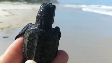 Reprodução / Instagram