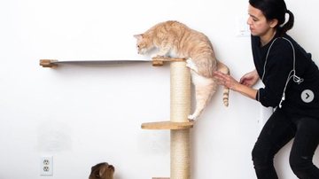 Reprodução / Instagram