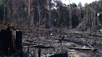 Arquivo/Agência Brasil