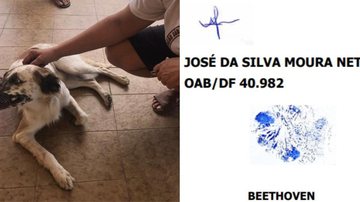 Divulgação
