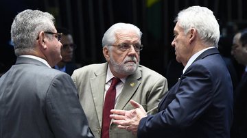 Roque de Sá/Agência Senado