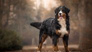 xkunclova / Shutterstock.com