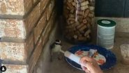 Reprodução / Instagram