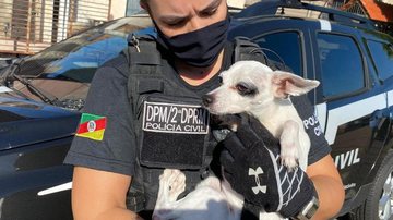 Divulgação / Polícia Civil