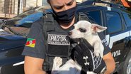 Divulgação / Polícia Civil