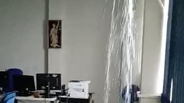 Leitor Bnews