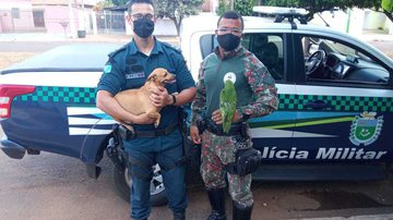 Divulgação / Mato Grosso do Sul