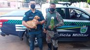 Divulgação / Mato Grosso do Sul