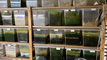 Divulgação / Polícia Federal